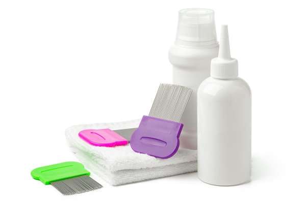 Expert anti nuisibles drôme : eden vert 3d, savoir-faire éprouvé